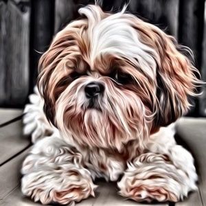 Meet your Posher, Roger